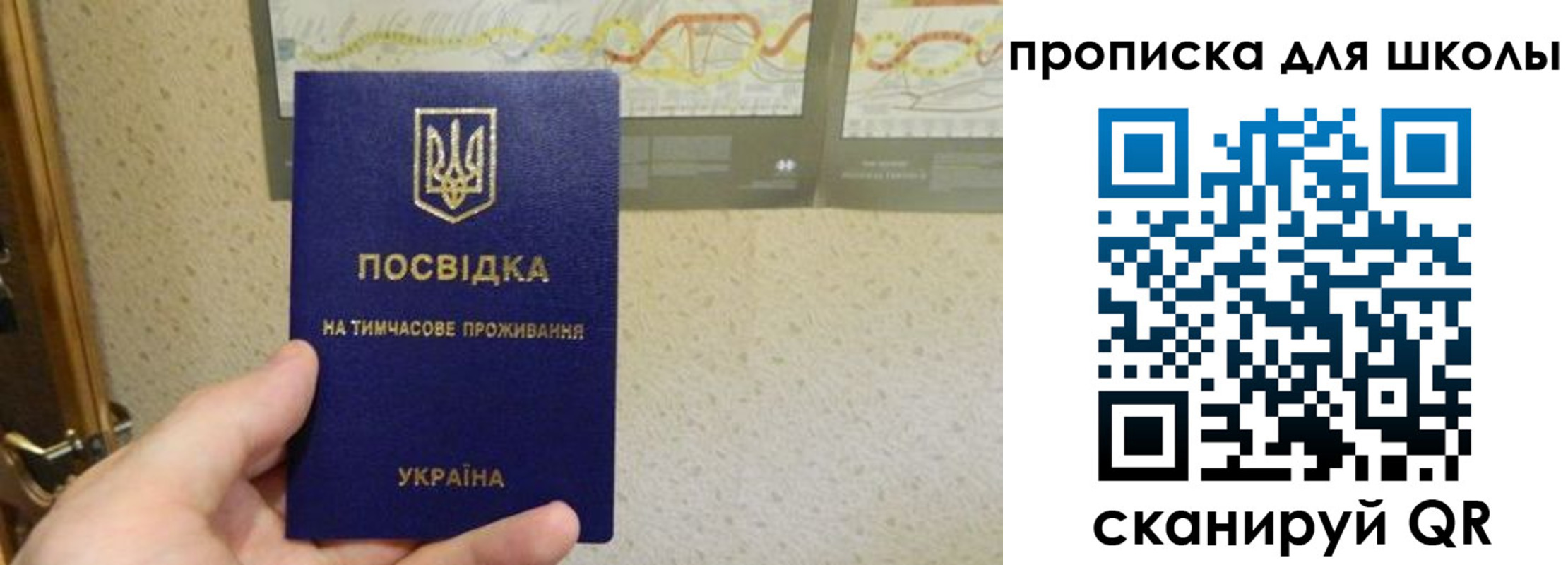 найти адрес прописки в Питкяранте